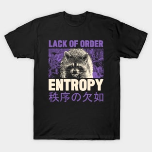 Entropy Raccoon T-Shirt